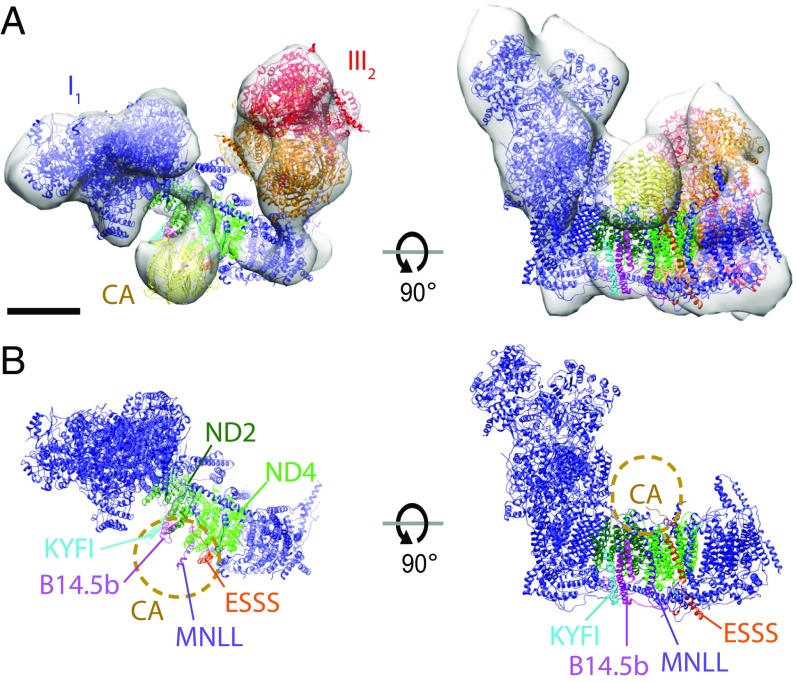 Fig. 4.