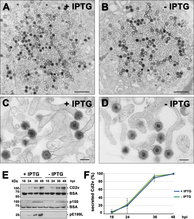 FIG 4