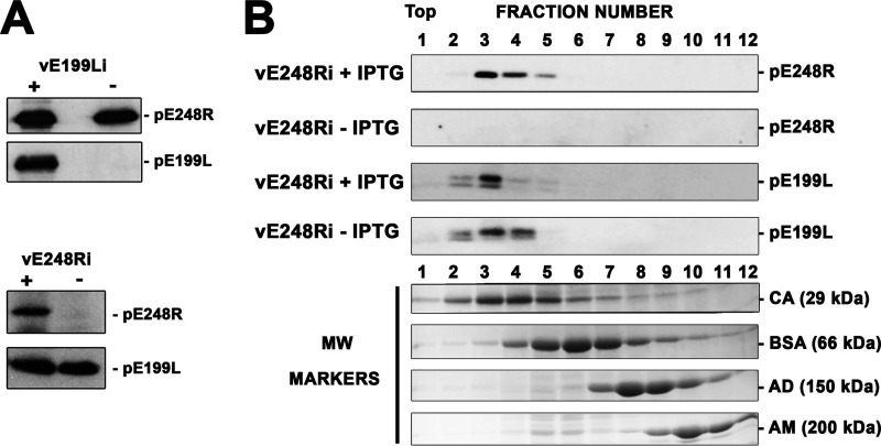 FIG 10