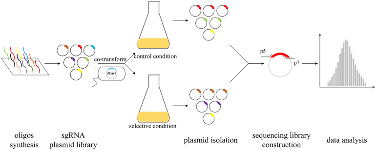 FIGURE 2