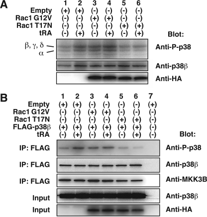 FIGURE 9.