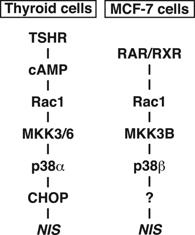 FIGURE 10.