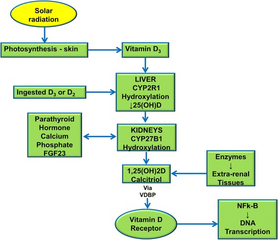 Fig. 1