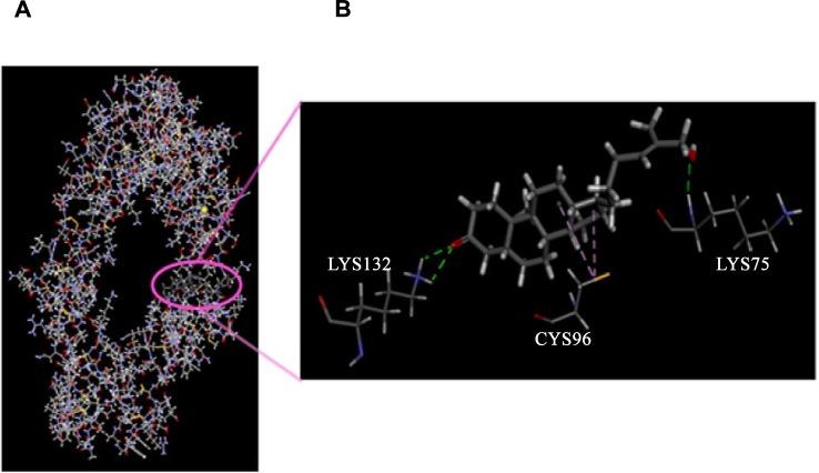 Fig 7