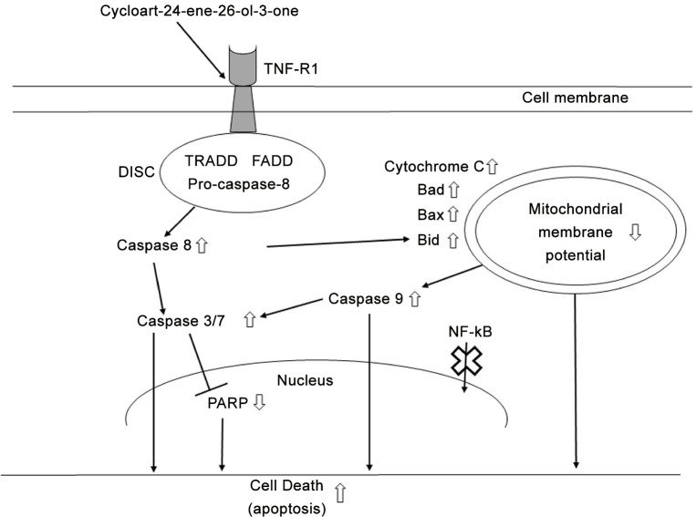 Fig 8