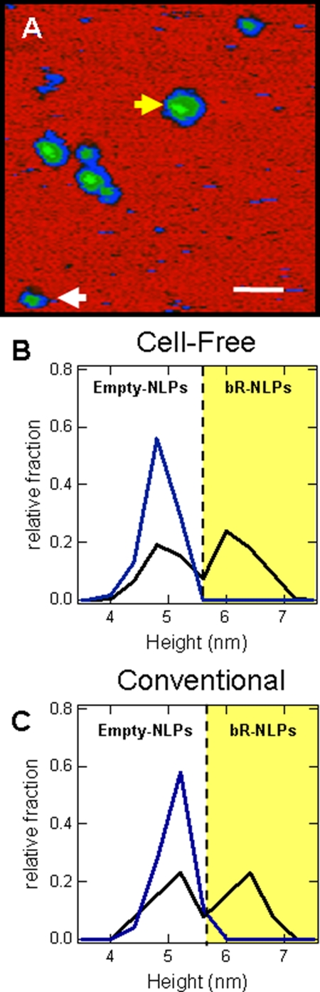 Fig. 4.