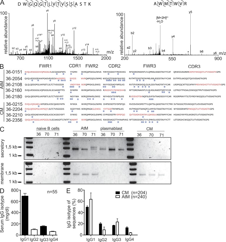 Figure 6.