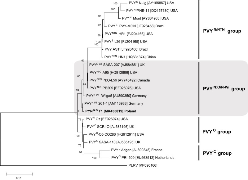 FIGURE 3