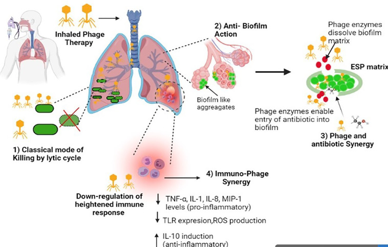 Figure 1