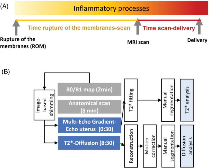 MRM-29483-FIG-0001-c