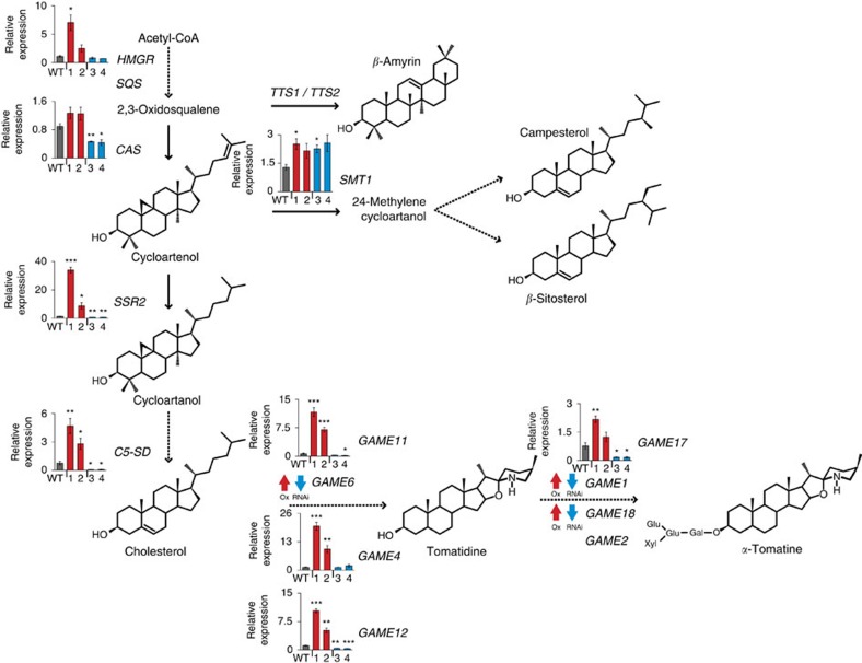 Figure 7