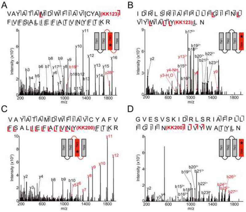 FIGURE 3: