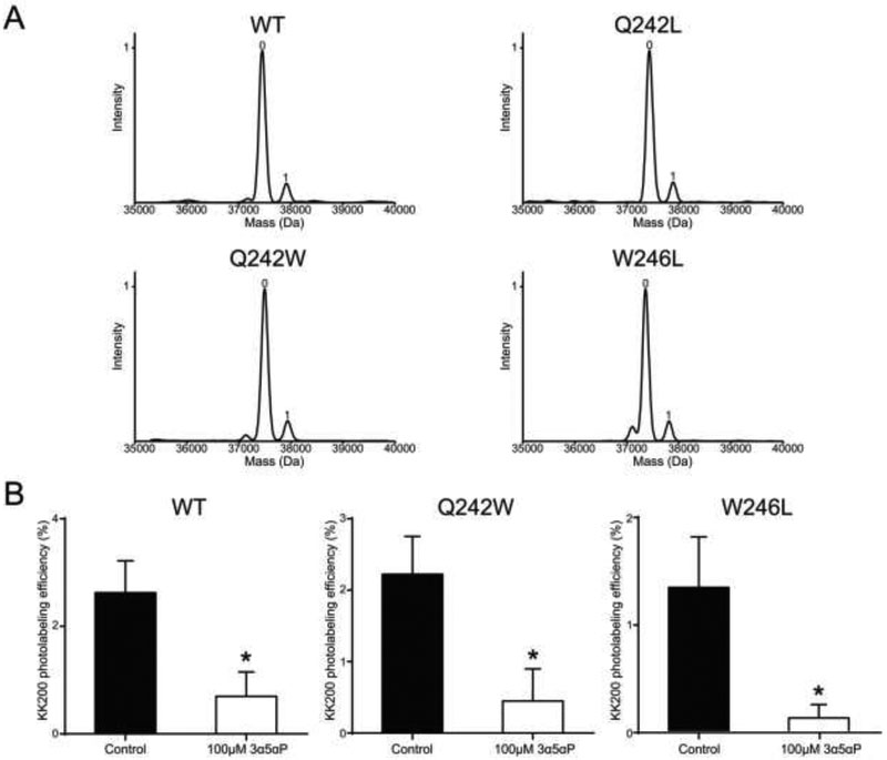 FIGURE 5: