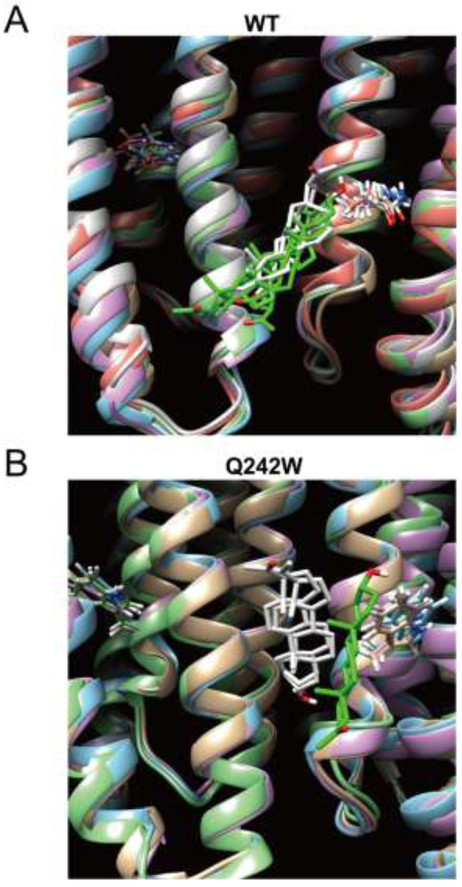 FIGURE 7: