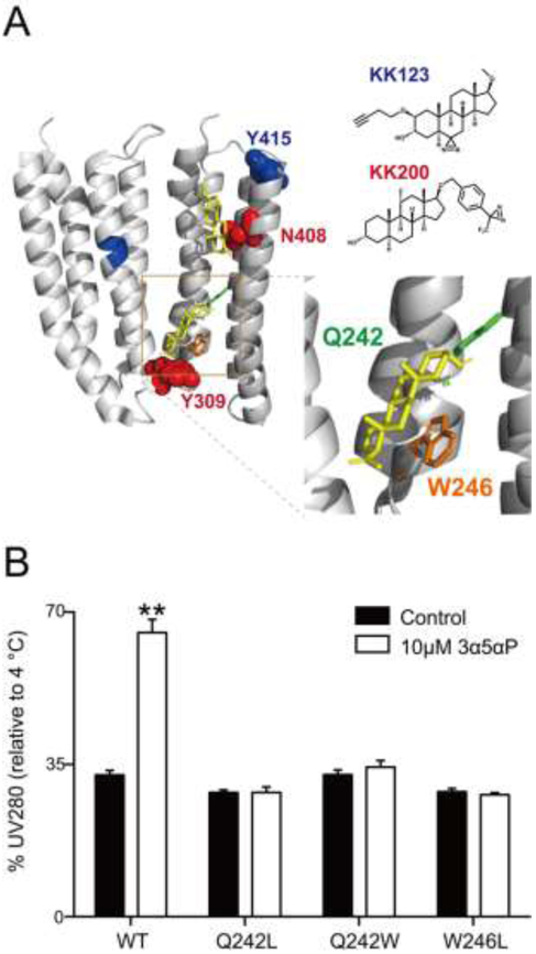 FIGURE 4: