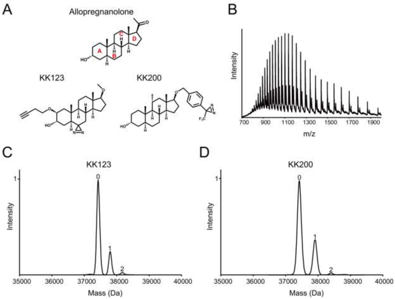 FIGURE 2: