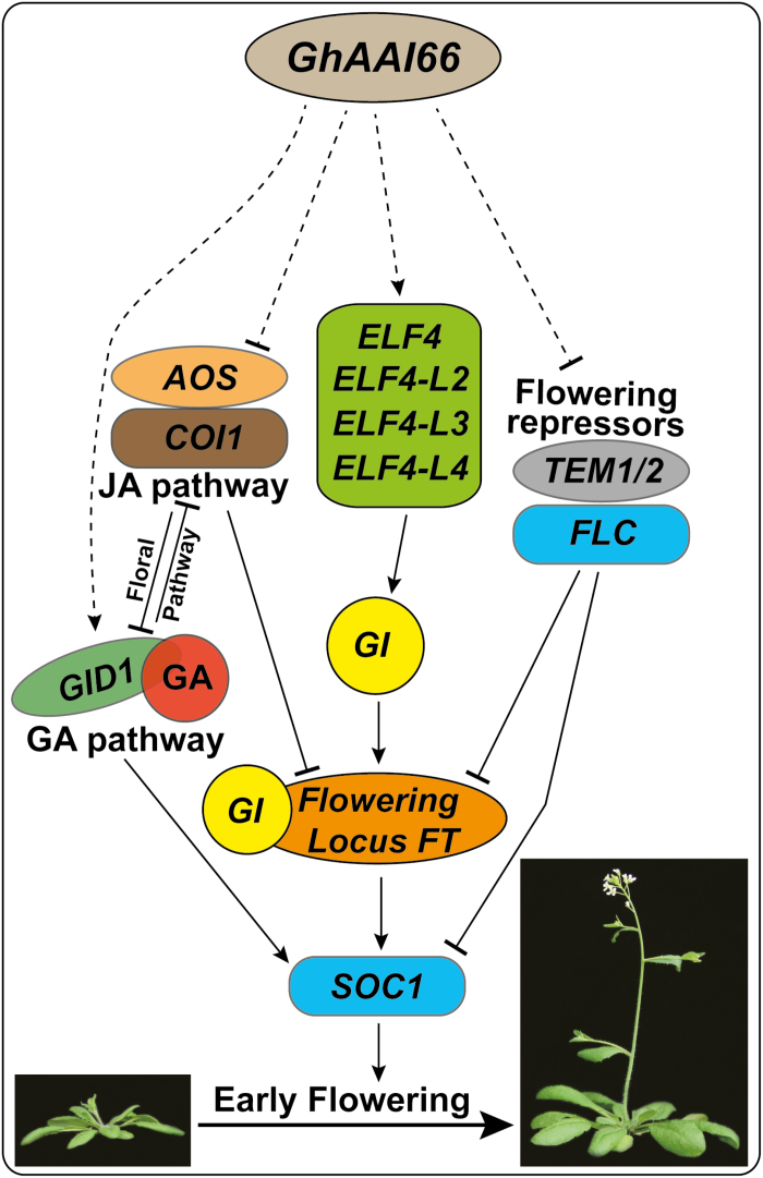 Fig. 7.