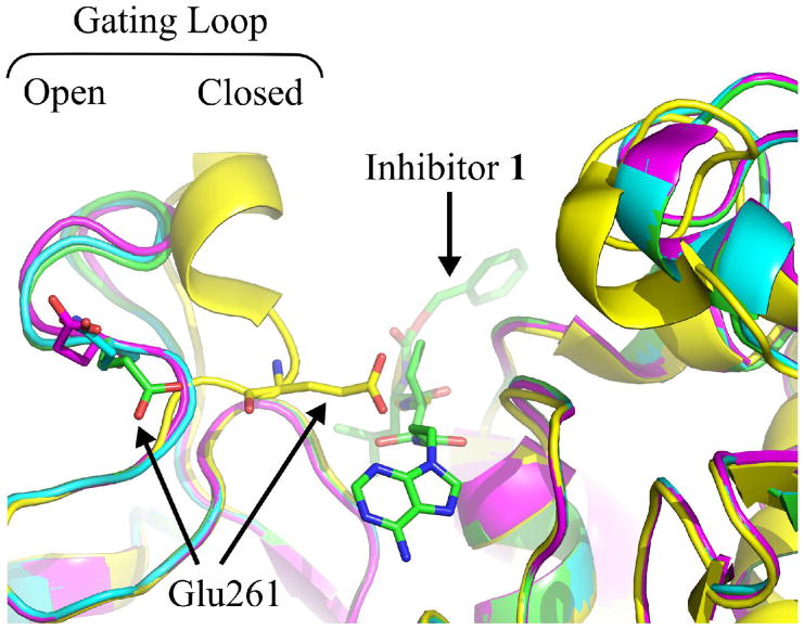 Figure 5