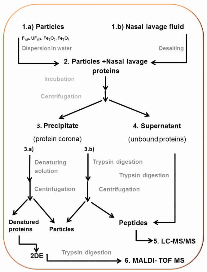 Scheme 1. 