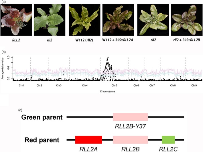 Figure 4