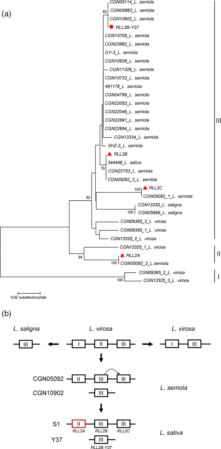 Figure 7