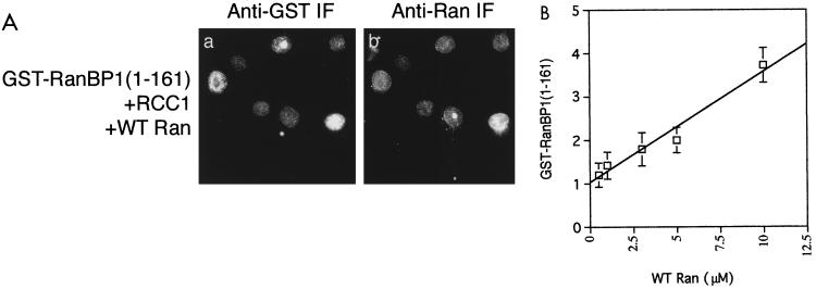 FIG. 8