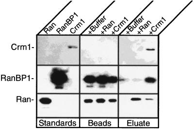 FIG. 10