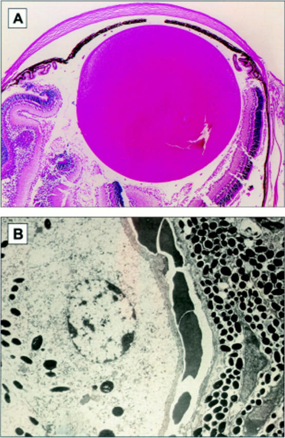 Figure 4  