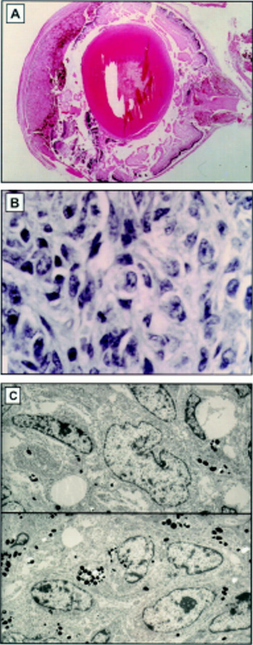 Figure 3  