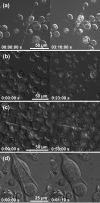 FIG. 3.