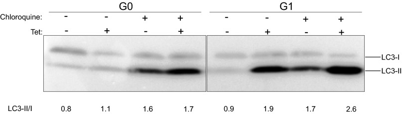 Fig. S2.