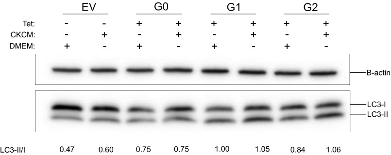 Fig. S9.