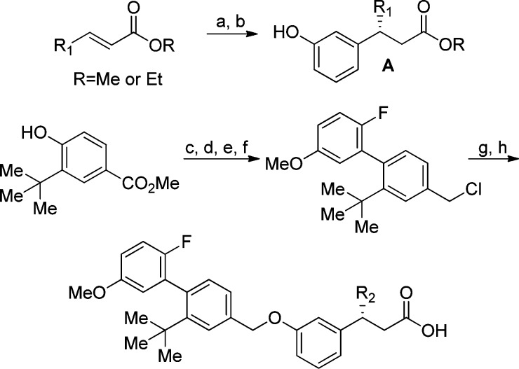 Scheme 1