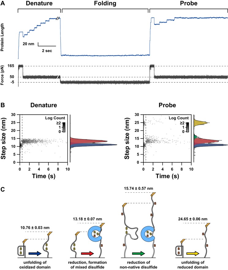 FIGURE 2.