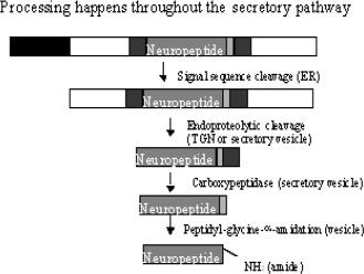 graphic file with name ejifcc-15-107-g001.jpg