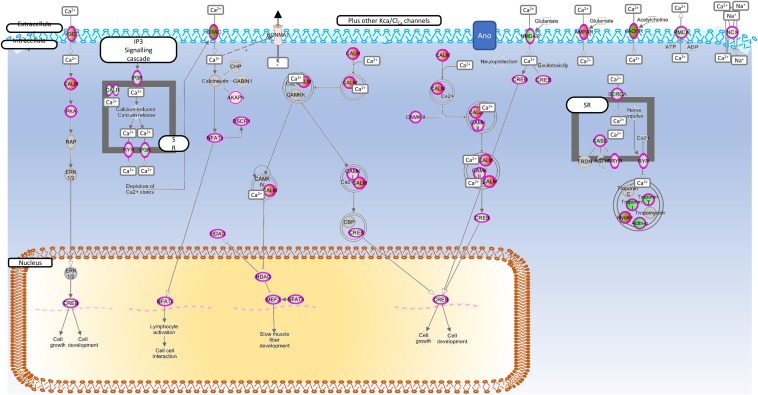 FIGURE 3