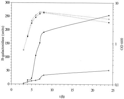 FIG. 5