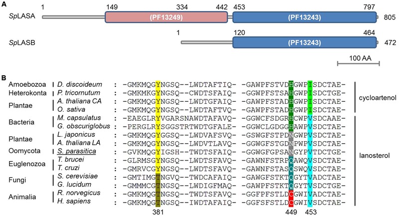 FIGURE 2