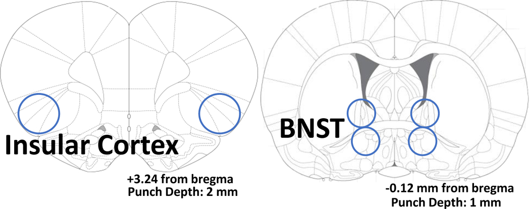 graphic file with name nihms-1771473-t0007.jpg