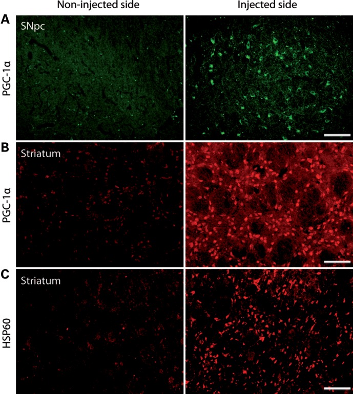 Figure 4.