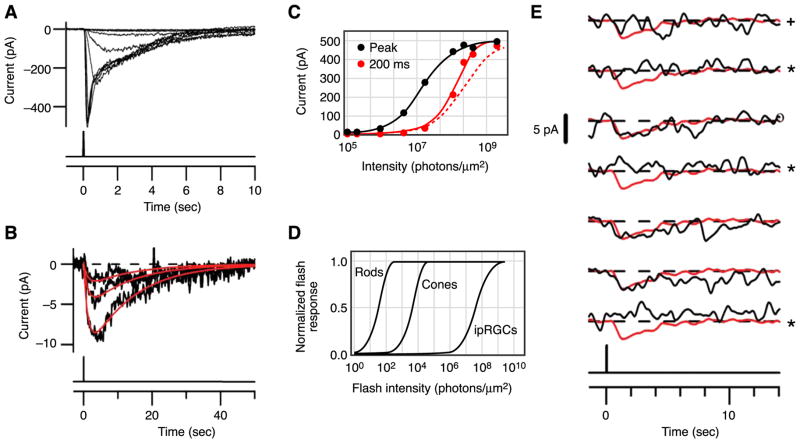 FIG. 7