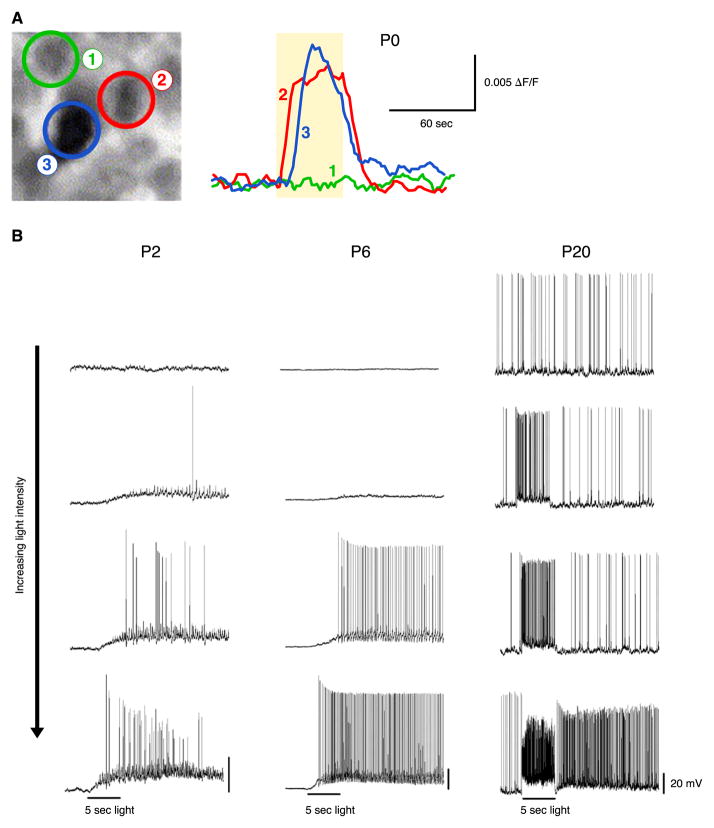 FIG. 13