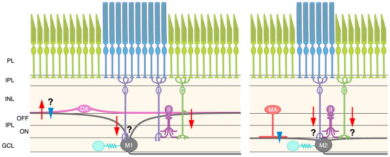 FIG. 10