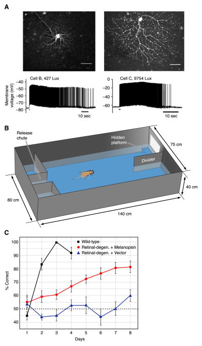 FIG. 14