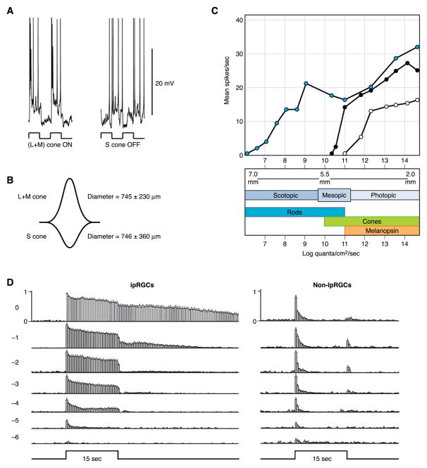 FIG. 12