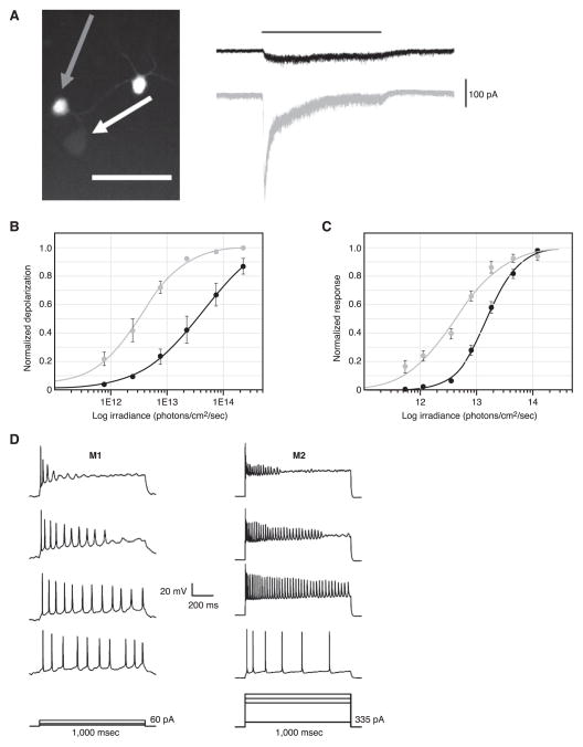 FIG. 5