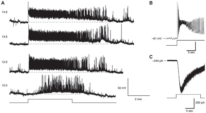 FIG. 8