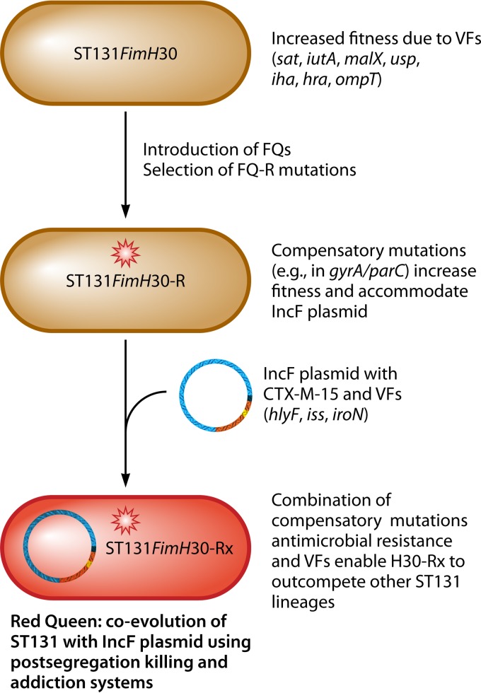 FIG 5