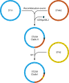FIG 3
