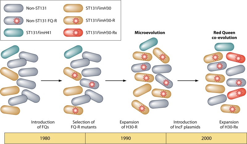 FIG 4